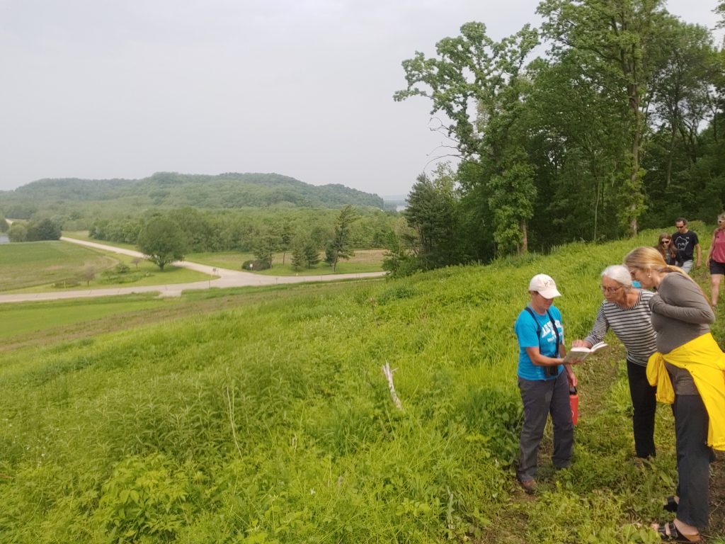 The Welsh Hills Trail 