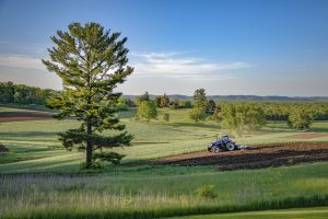 Taliesin Summer_ Photo by Colin Cohan