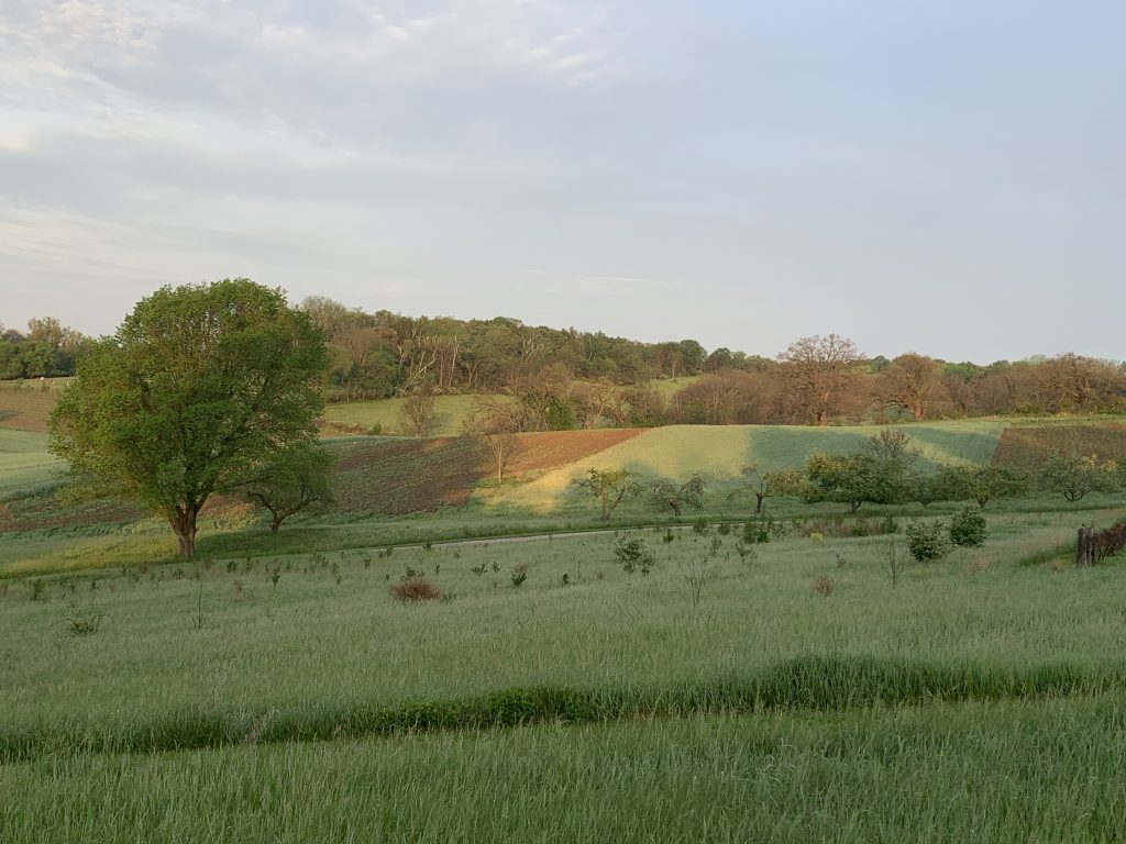 Driftless Landscape