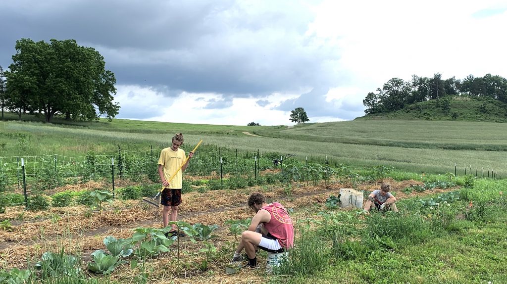 The Hamblen children work in the kitchen garden. 2020. Taliesin is a Way of Life.